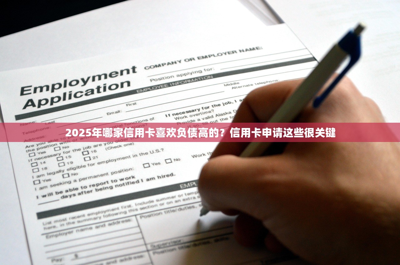 2025年哪家信用卡喜欢负债高的？信用卡申请这些很关键
