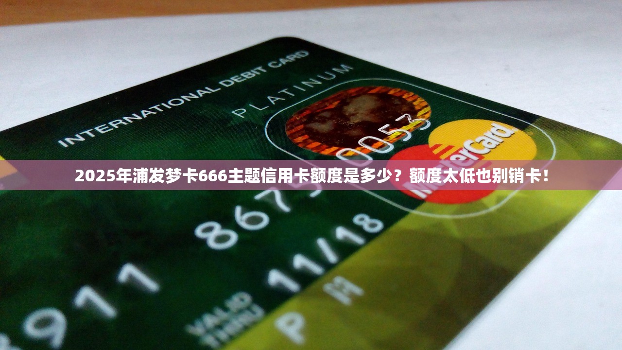 2025年浦发梦卡666主题信用卡额度是多少？额度太低也别销卡！