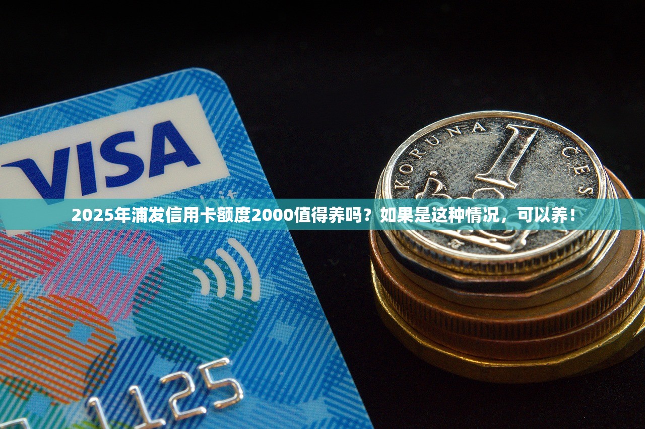 2025年浦发信用卡额度2000值得养吗？如果是这种情况，可以养！