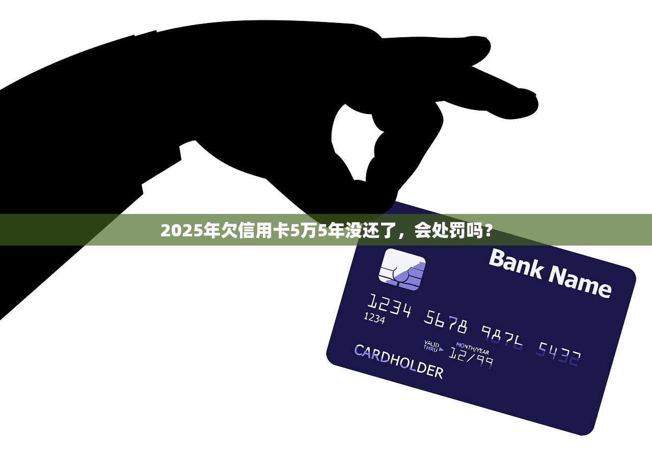 2025年欠信用卡5万5年没还了，会处罚吗？