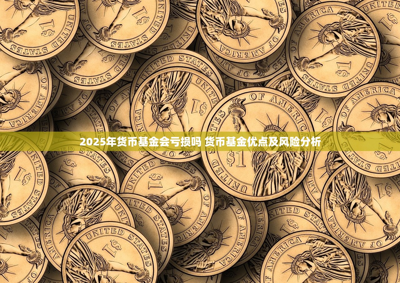 2025年货币基金会亏损吗 货币基金优点及风险分析