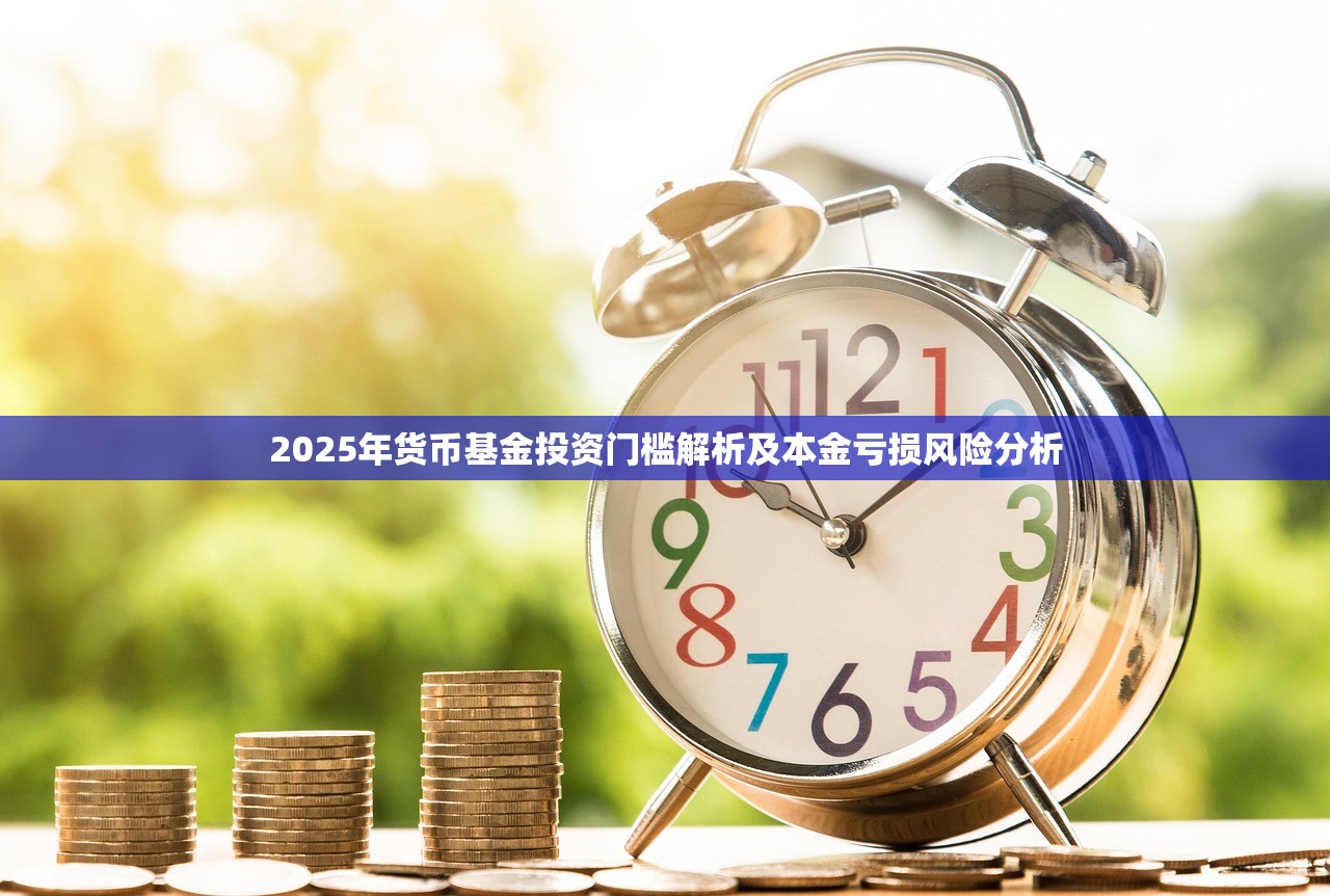 2025年货币基金投资门槛解析及本金亏损风险分析