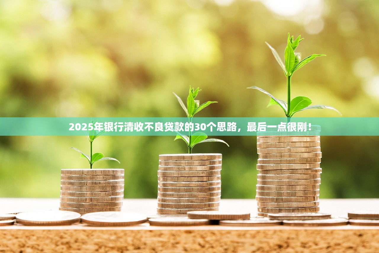 2025年银行清收不良贷款的30个思路，最后一点很刚！