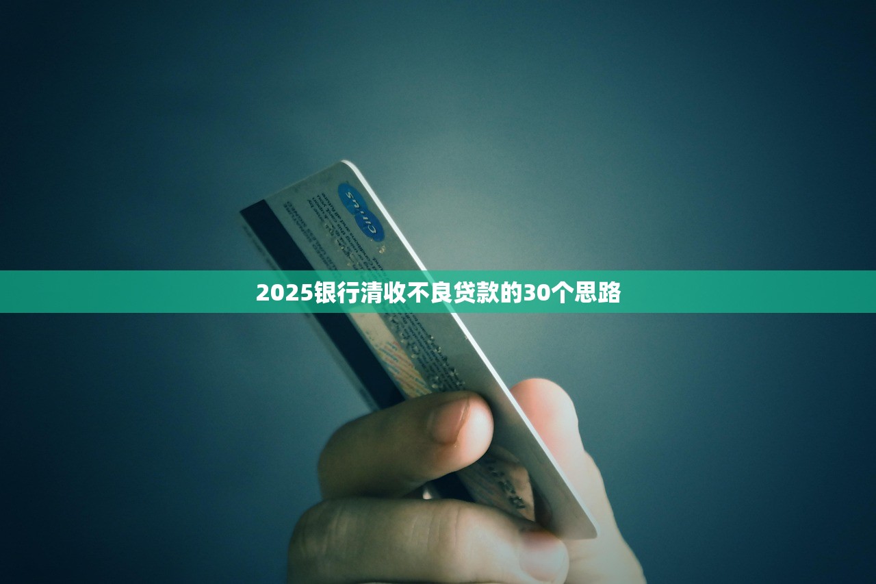 2025银行清收不良贷款的30个思路