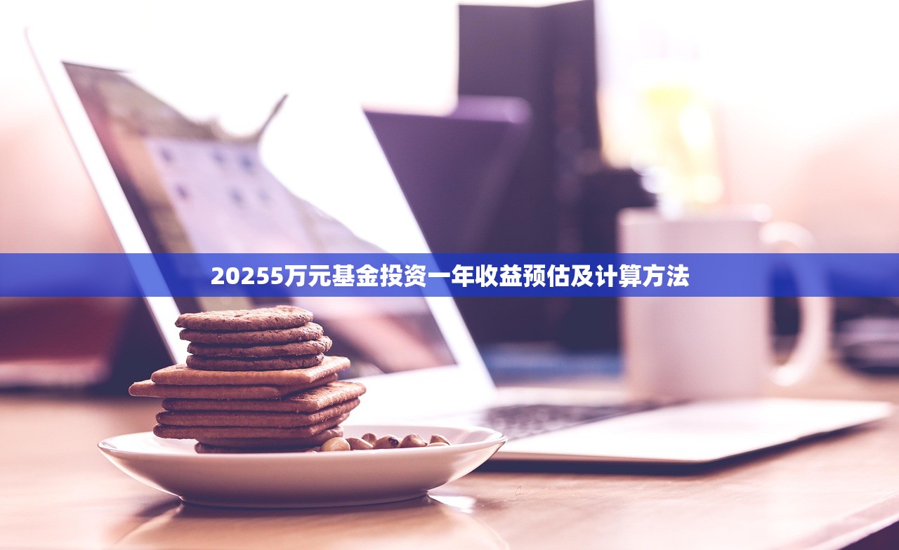 20255万元基金投资一年收益预估及计算方法