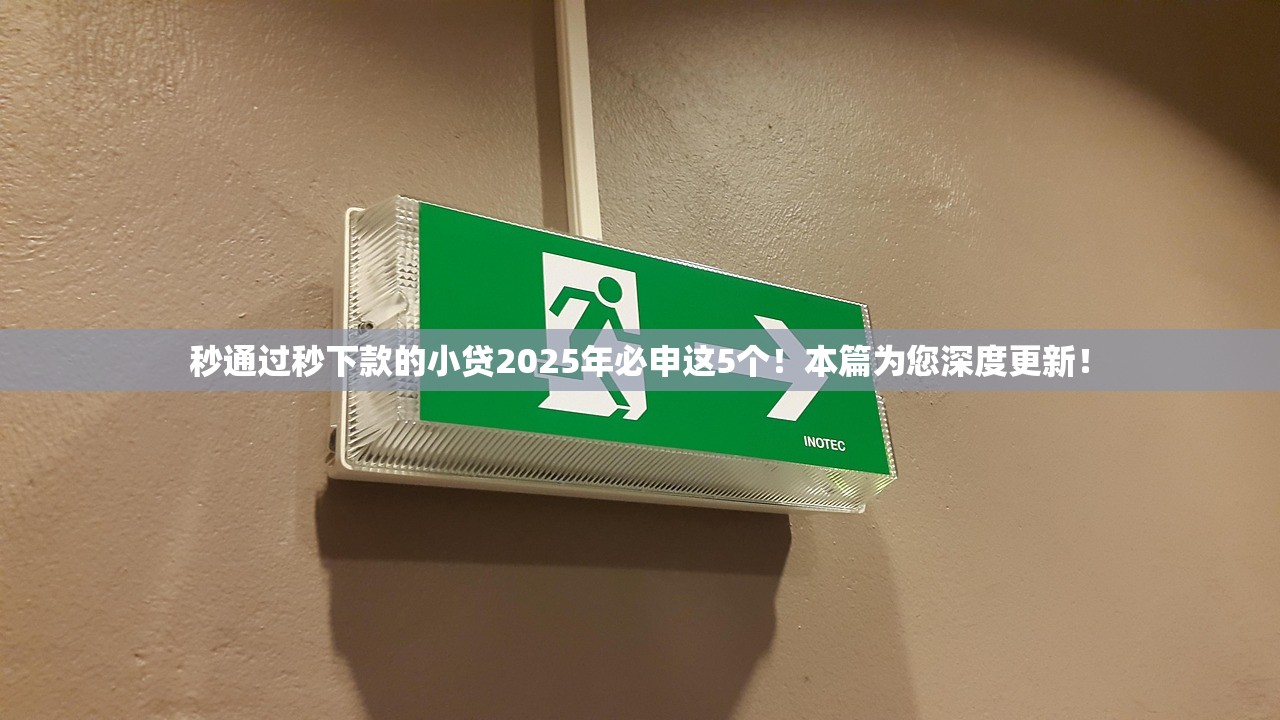 哪个小额贷款平台好贷点2025年手把手教程！实测​这5个快速私人借钱软件