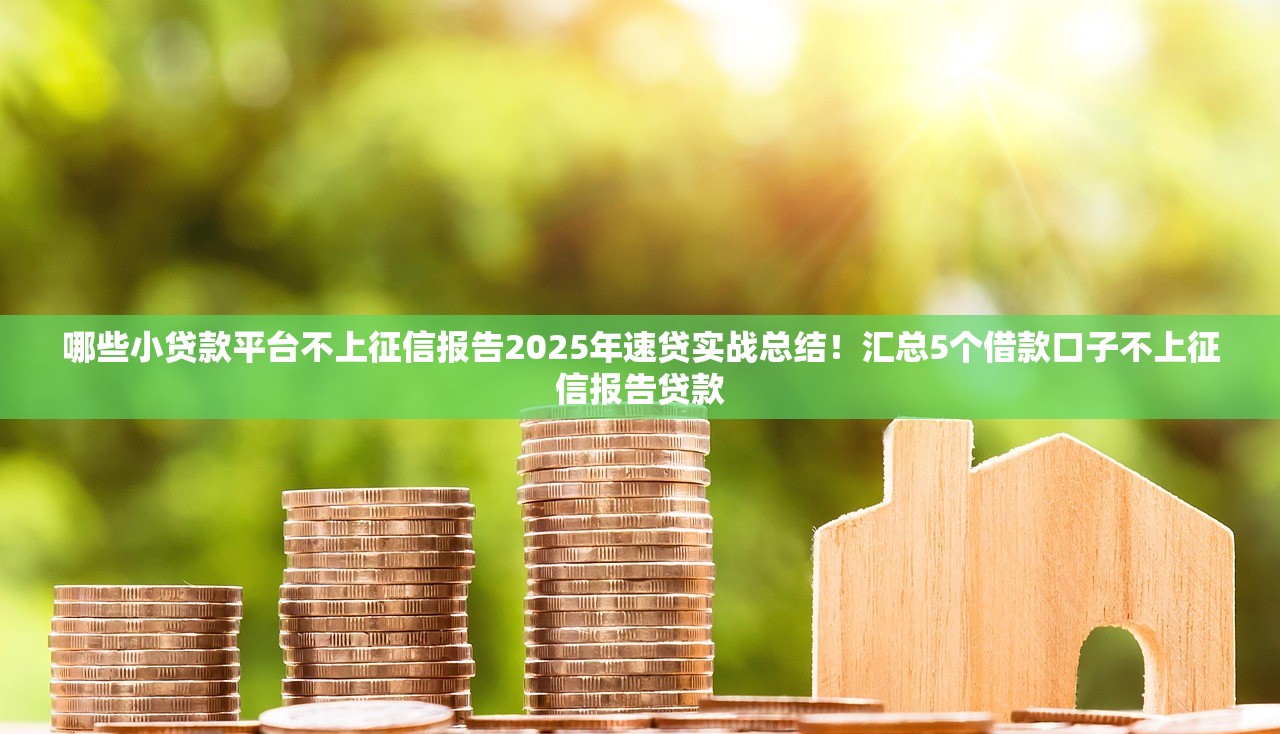 哪些小贷款平台不上征信报告2025年速贷实战总结！汇总5个借款口子不上征信报告贷款