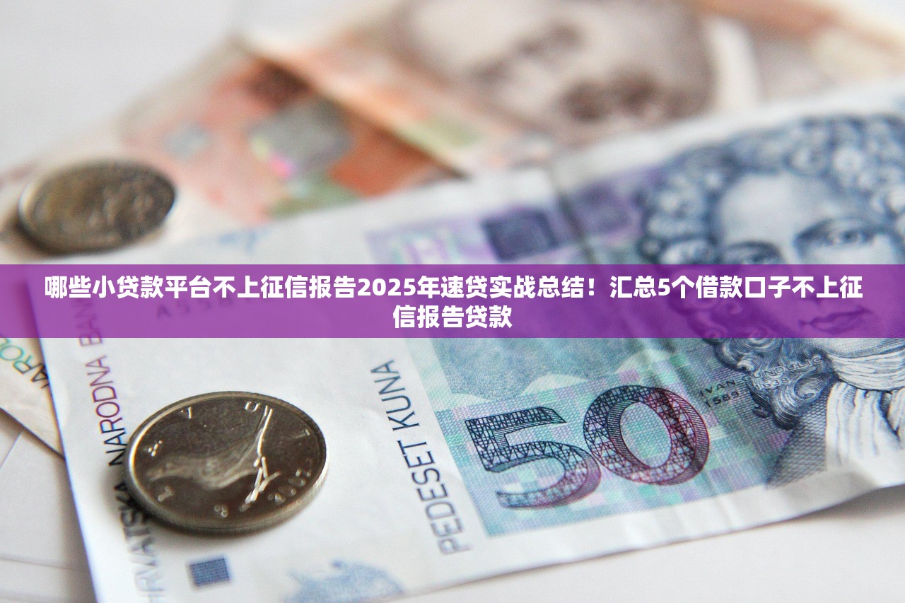 哪些小贷款平台不上征信报告2025年速贷实战总结！汇总5个借款口子不上征信报告贷款