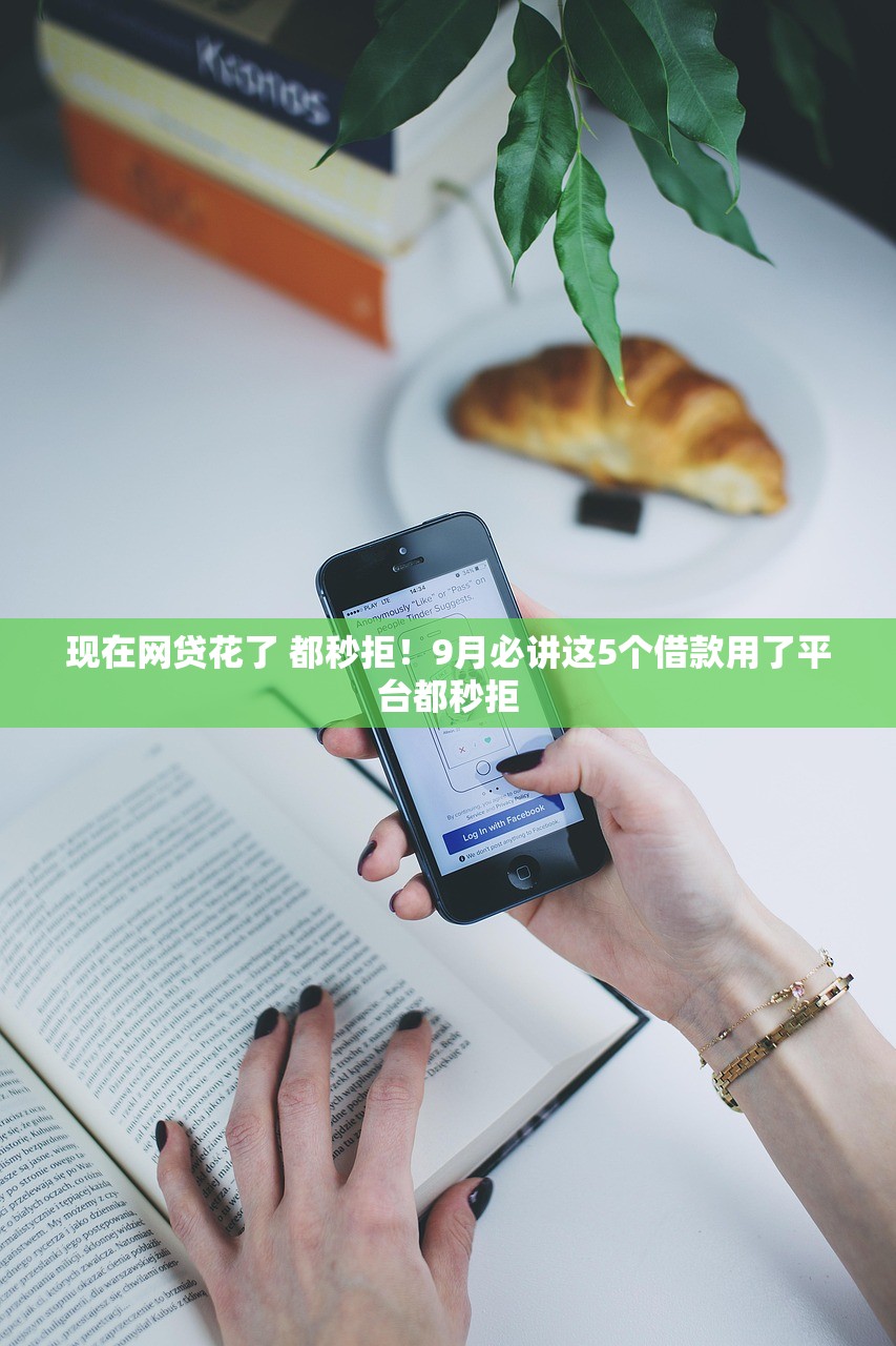 现在网贷花了 都秒拒！9月必讲这5个借款用了平台都秒拒