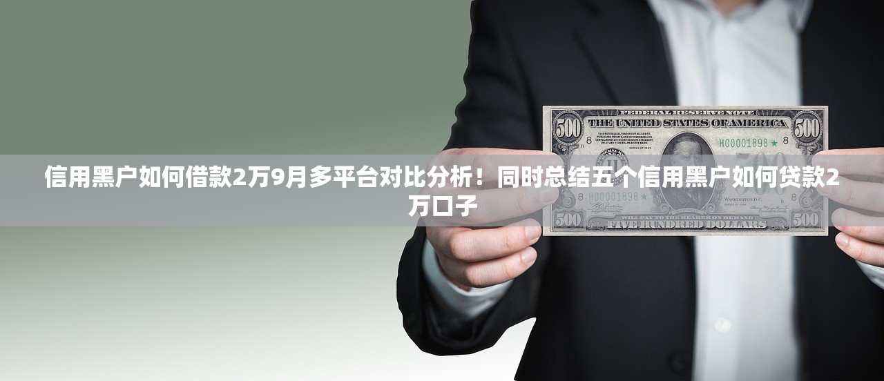信用黑户如何借款2万9月多平台对比分析！同时总结五个信用黑户如何贷款2万口子