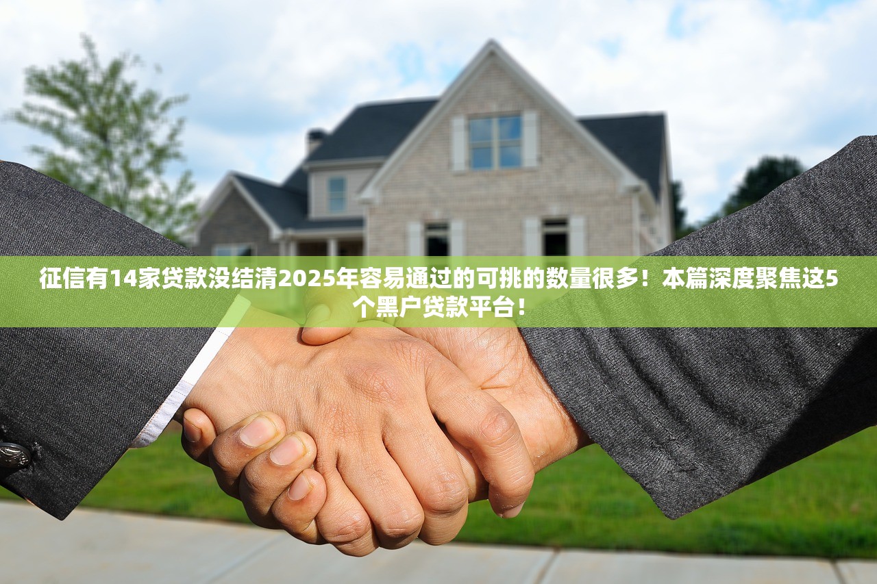 征信有14家贷款没结清2025年容易通过的可挑的数量很多！本篇深度聚焦这5个黑户贷款平台！