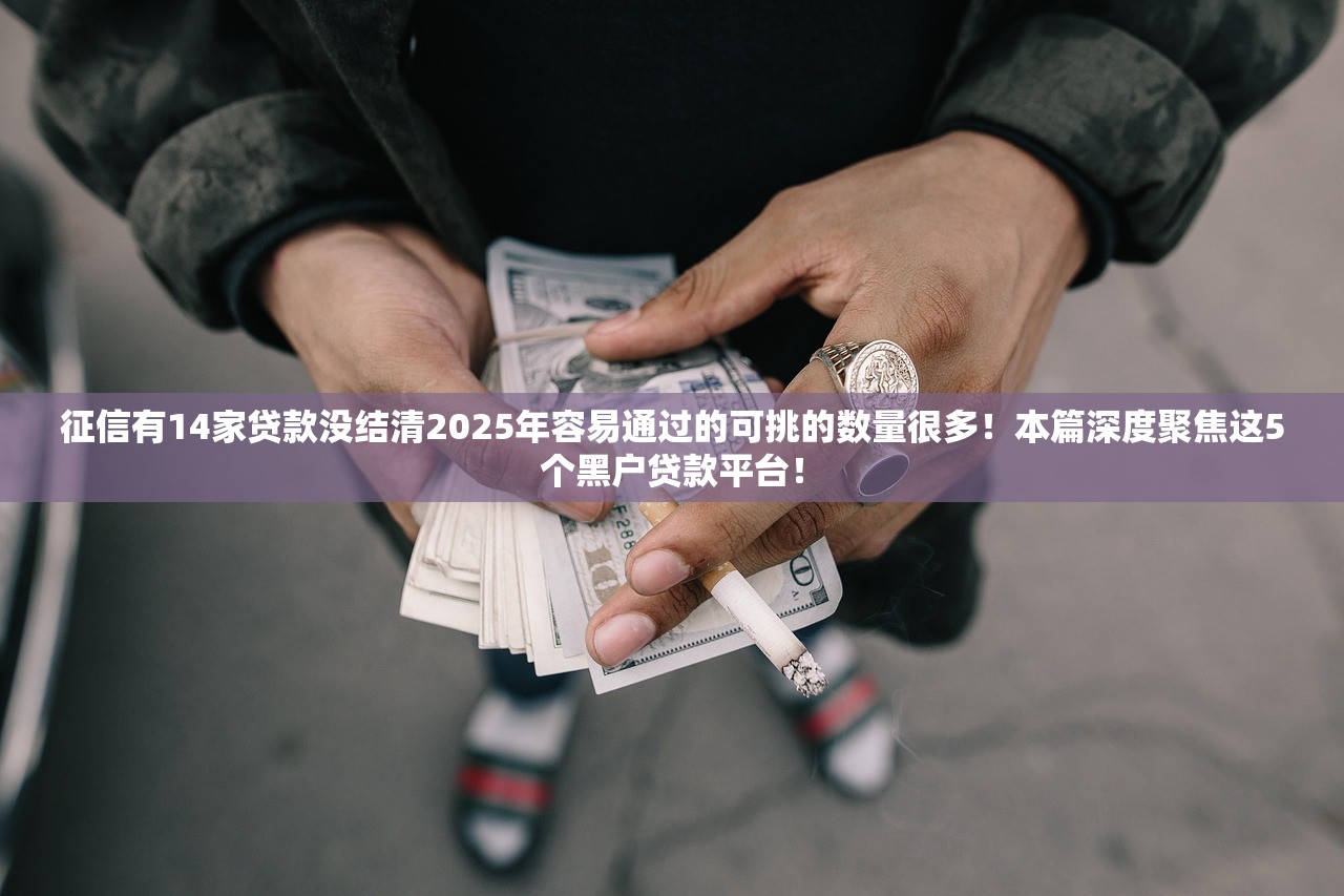 征信有14家贷款没结清2025年容易通过的可挑的数量很多！本篇深度聚焦这5个黑户贷款平台！