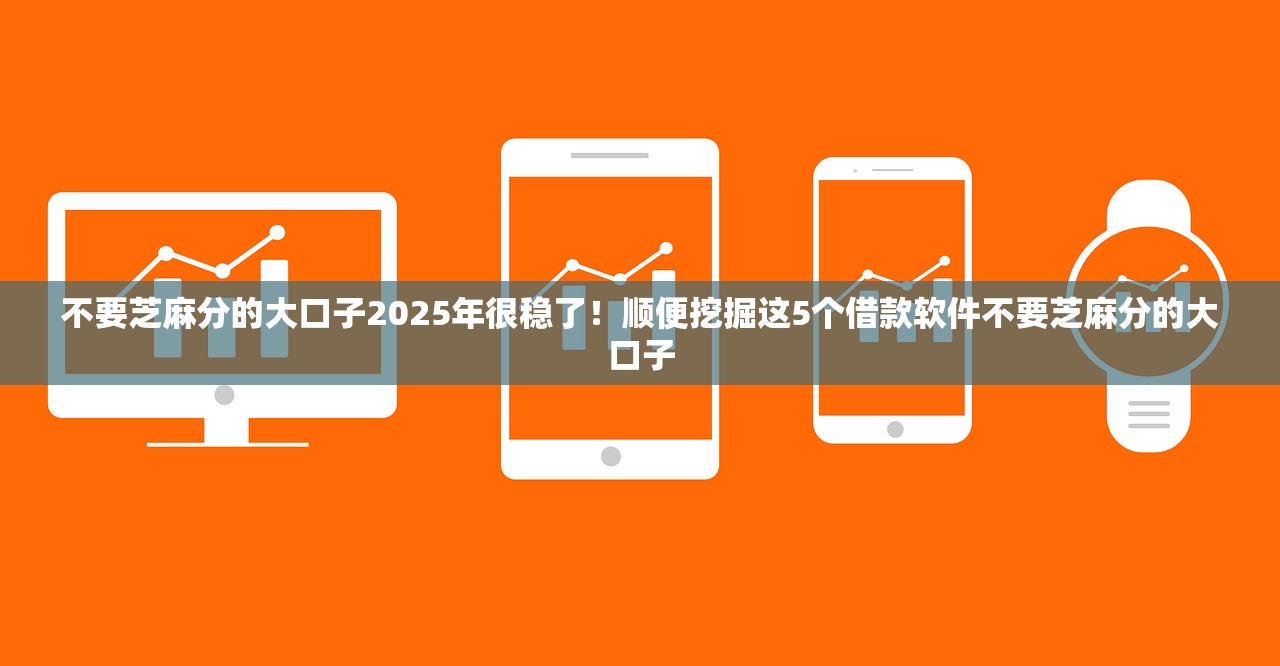 不要芝麻分的大口子2025年很稳了！顺便挖掘这5个借款软件不要芝麻分的大口子