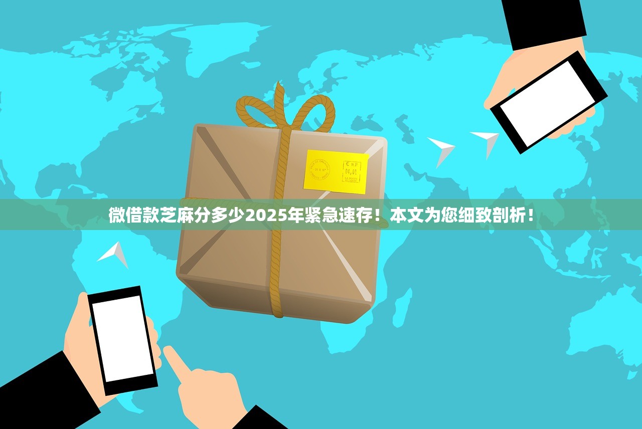 微借款芝麻分多少2025年紧急速存！本文为您细致剖析！