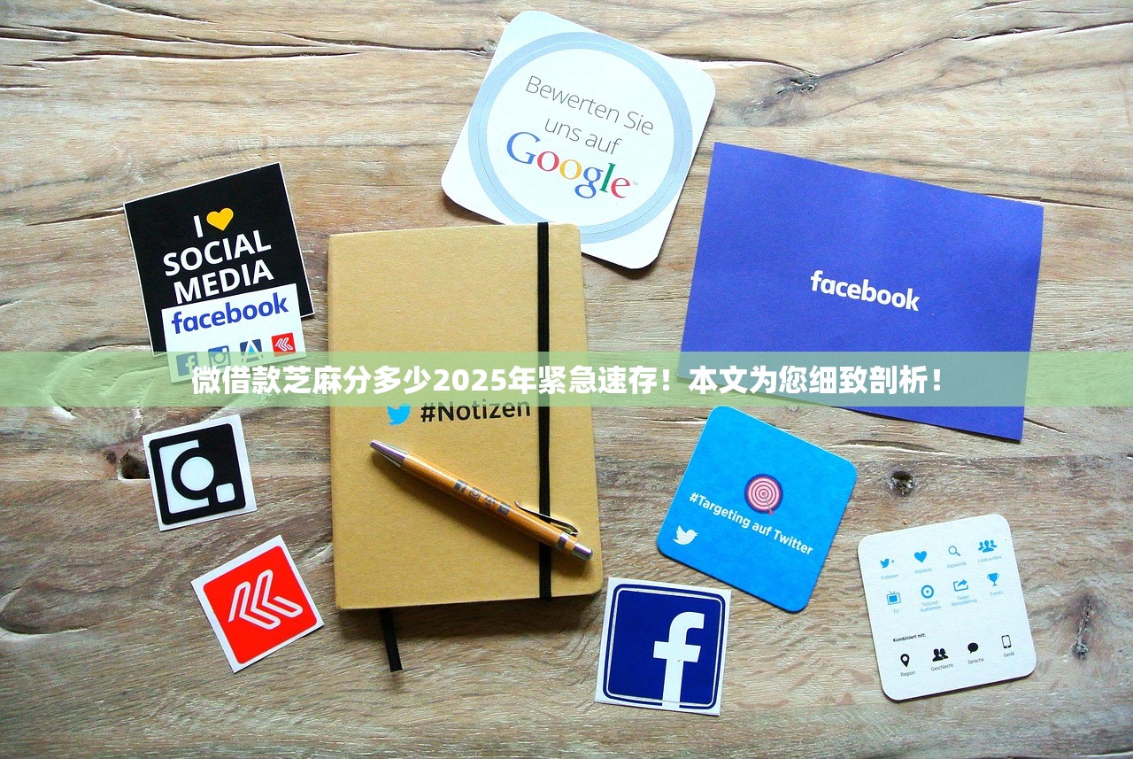 微借款芝麻分多少2025年紧急速存！本文为您细致剖析！