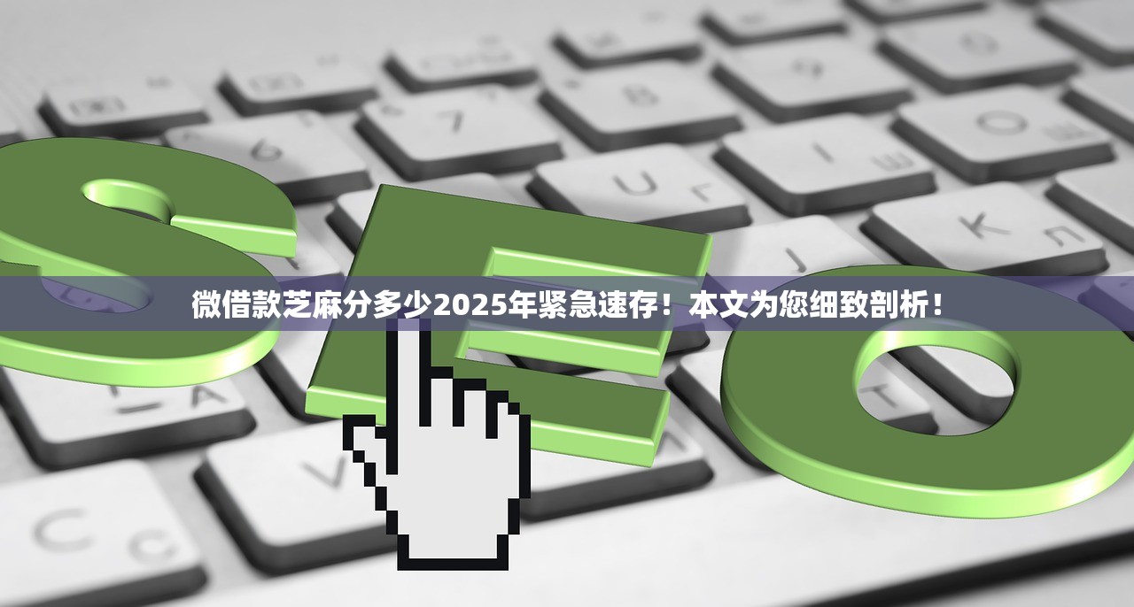 微借款芝麻分多少2025年紧急速存！本文为您细致剖析！