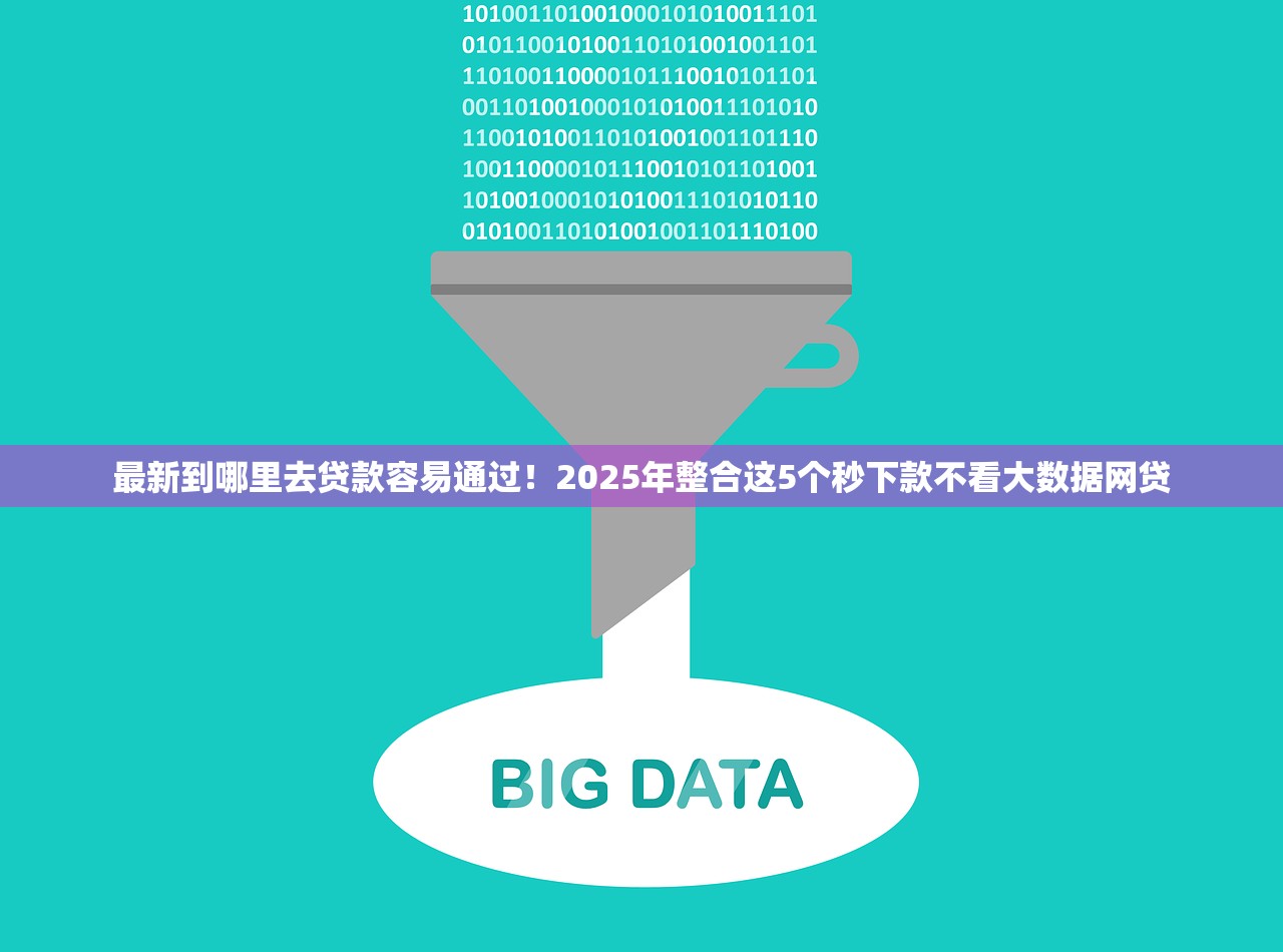最新到哪里去贷款容易通过！2025年整合这5个秒下款不看大数据网贷