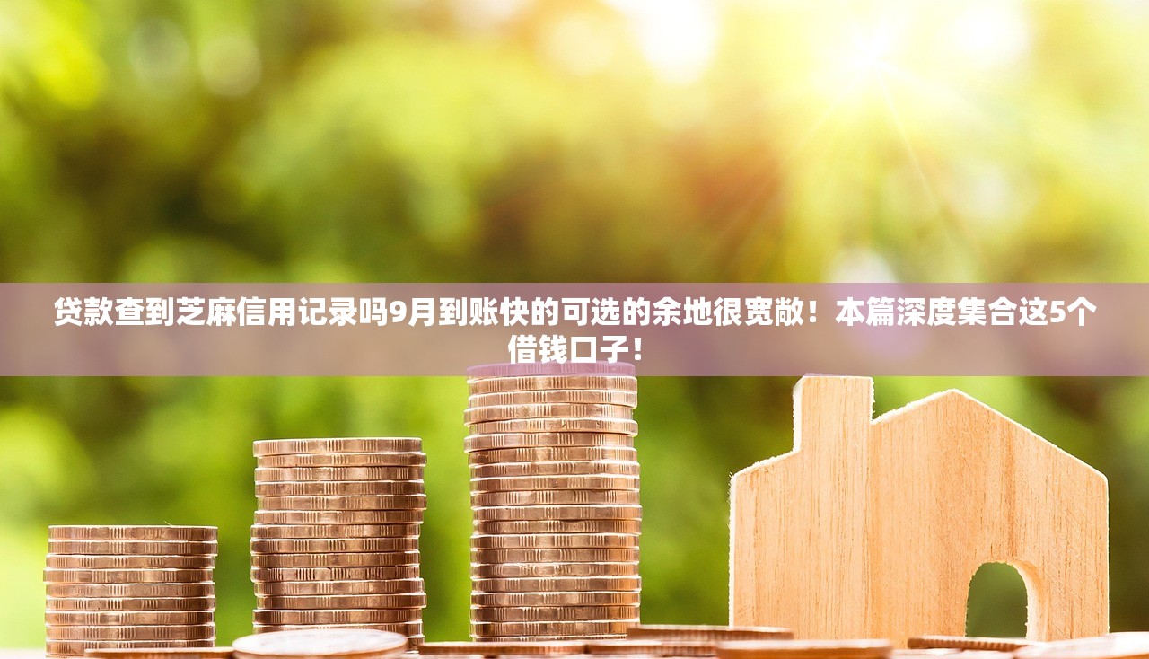 贷款查到芝麻信用记录吗9月到账快的可选的余地很宽敞！本篇深度集合这5个借钱口子！