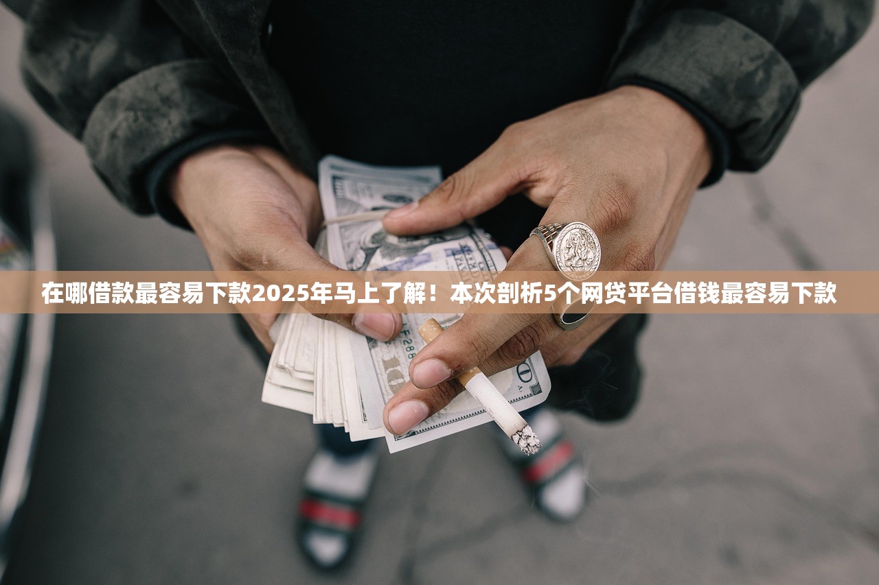 在哪借款最容易下款2025年马上了解！本次剖析5个网贷平台借钱最容易下款