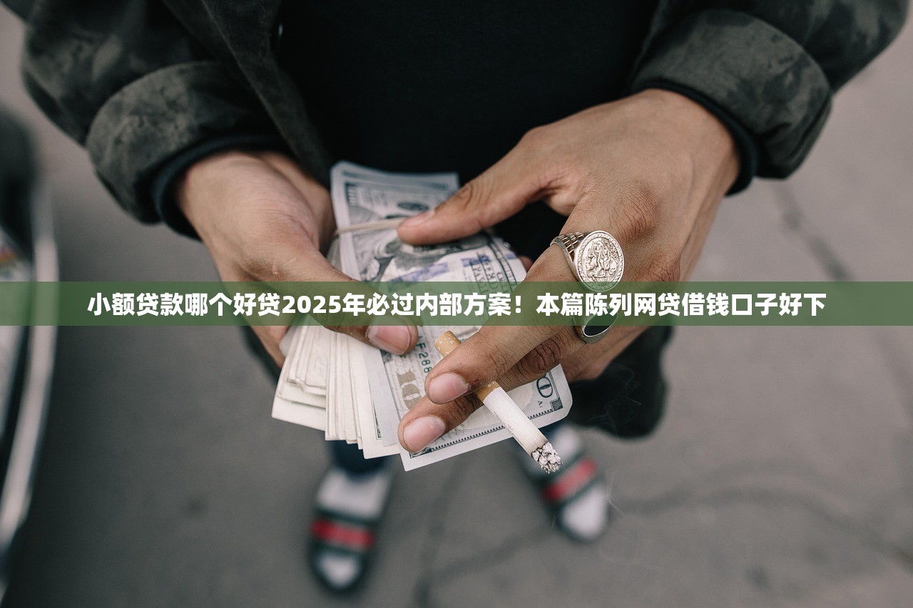 小额贷款哪个好贷2025年必过内部方案！本篇陈列网贷借钱口子好下