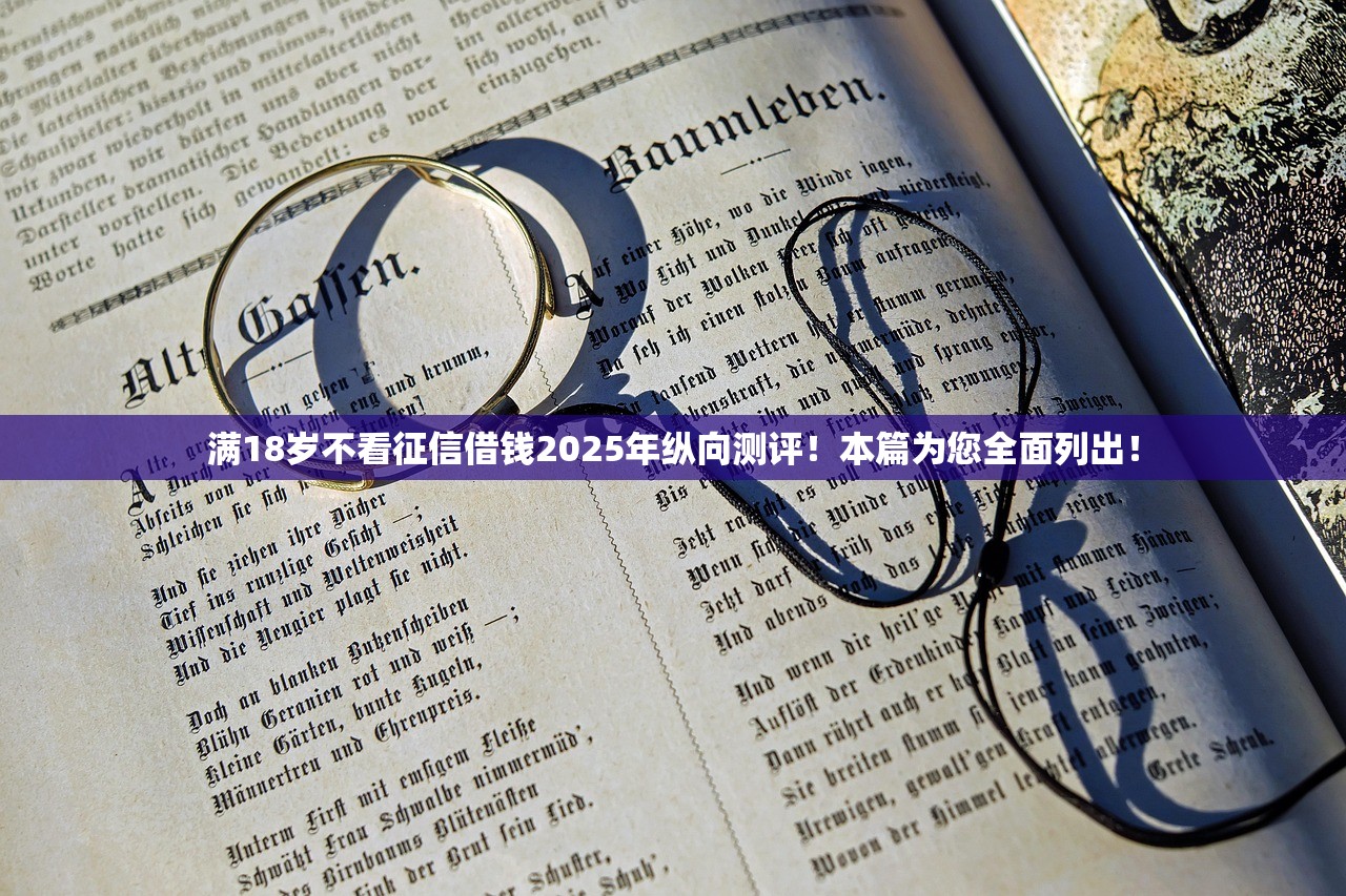 满18岁不看征信借钱2025年纵向测评！本篇为您全面列出！