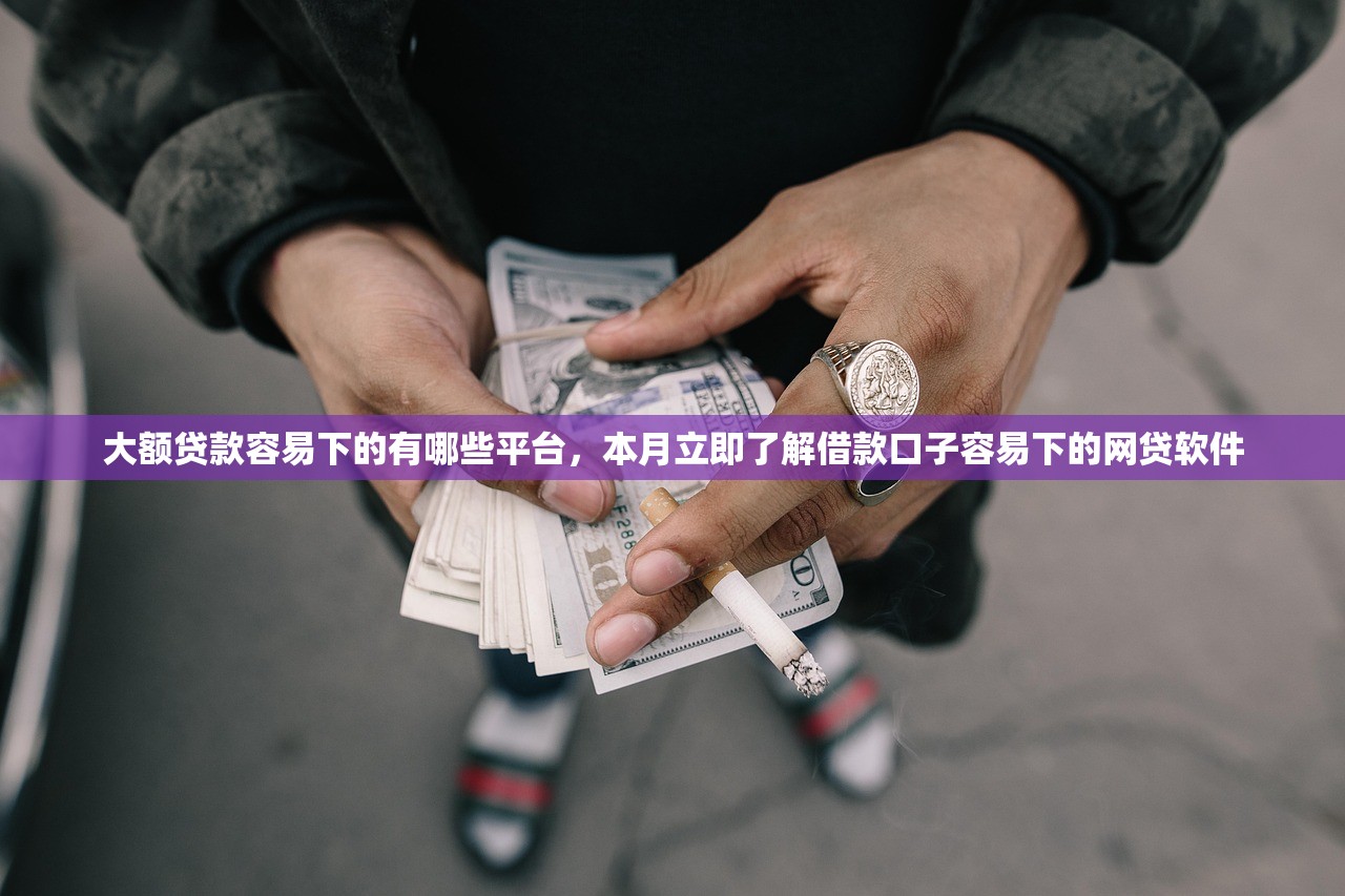 大额贷款容易下的有哪些平台，本月立即了解借款口子容易下的网贷软件