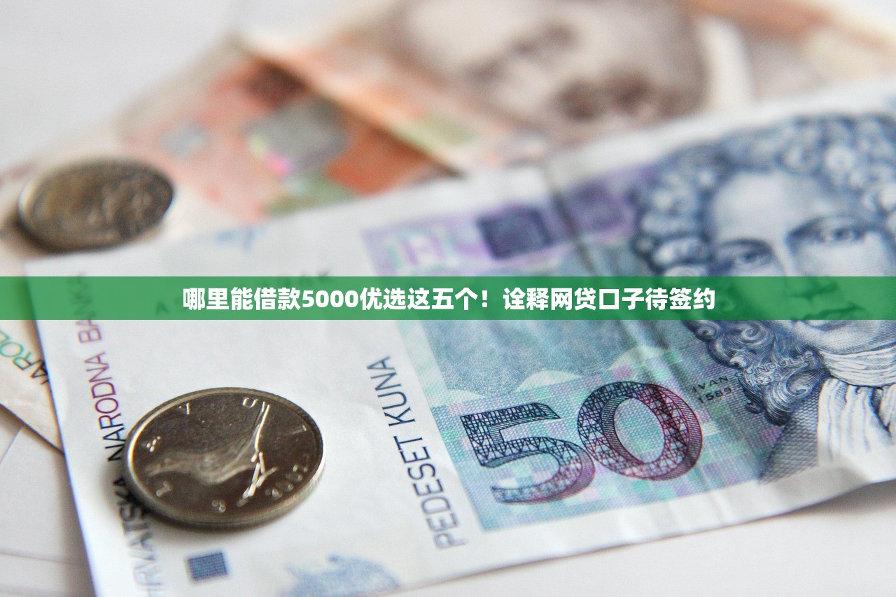 哪里能借款5000优选这五个！诠释网贷口子待签约