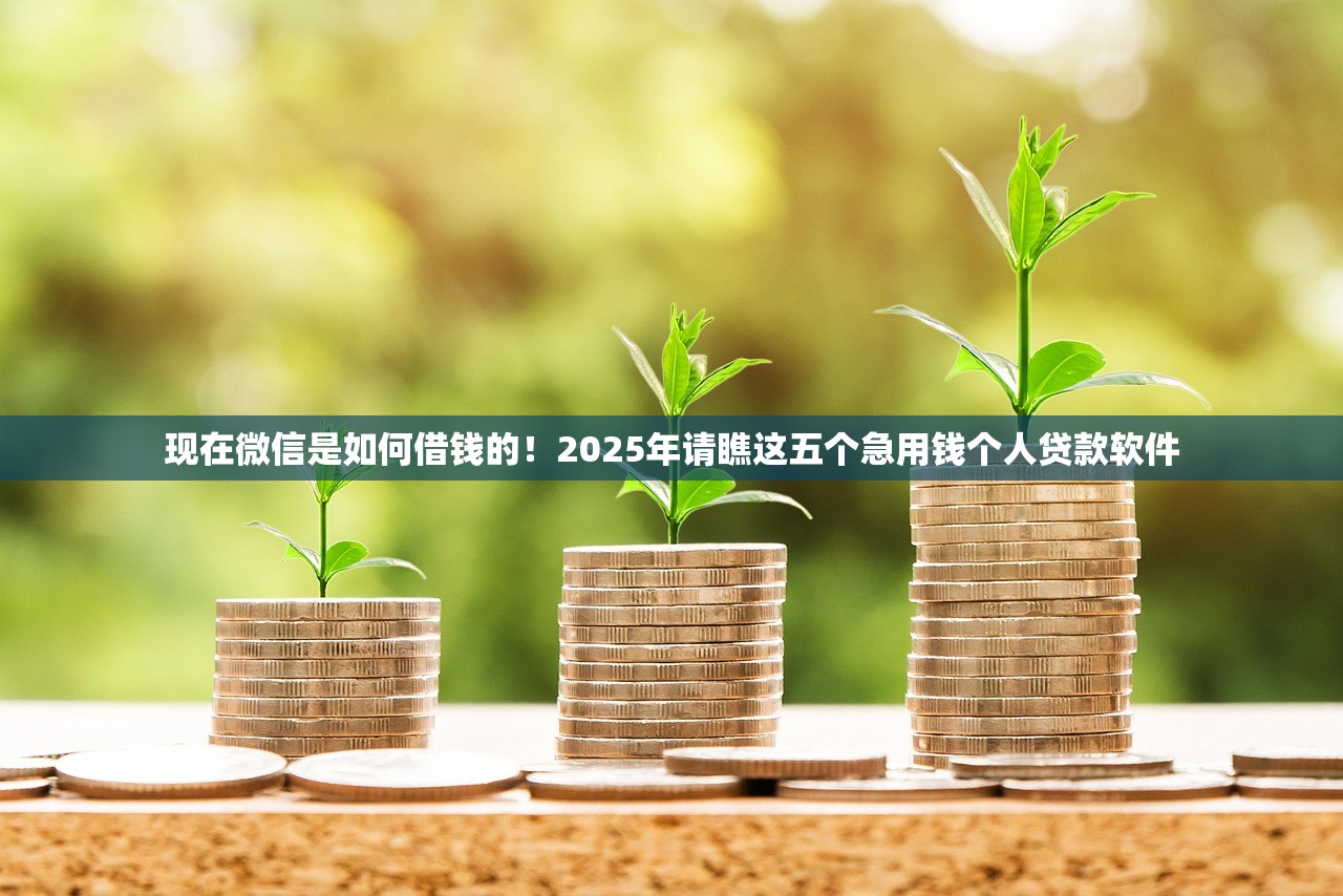 现在微信是如何借钱的！2025年请瞧这五个急用钱个人贷款软件