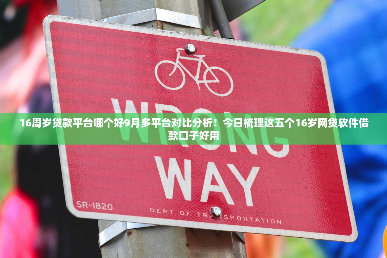 16周岁贷款平台哪个好9月多平台对比分析！今日梳理这五个16岁网贷软件借款口子好用