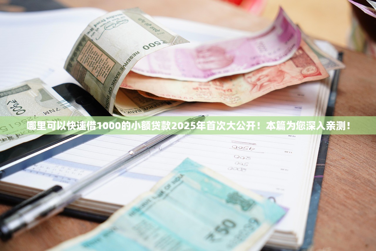 哪里可以快速借1000的小额贷款2025年首次大公开！本篇为您深入亲测！