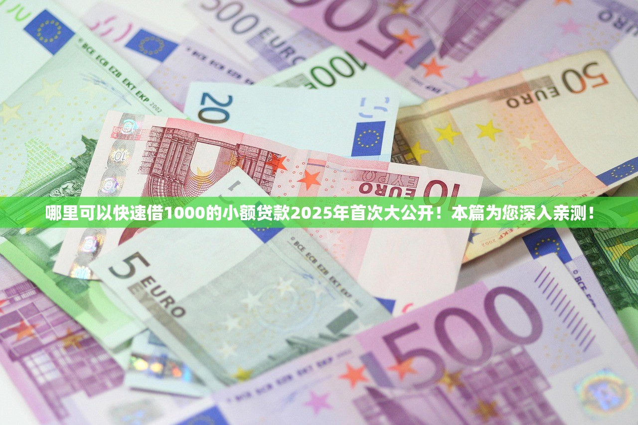 哪里可以快速借1000的小额贷款2025年首次大公开！本篇为您深入亲测！