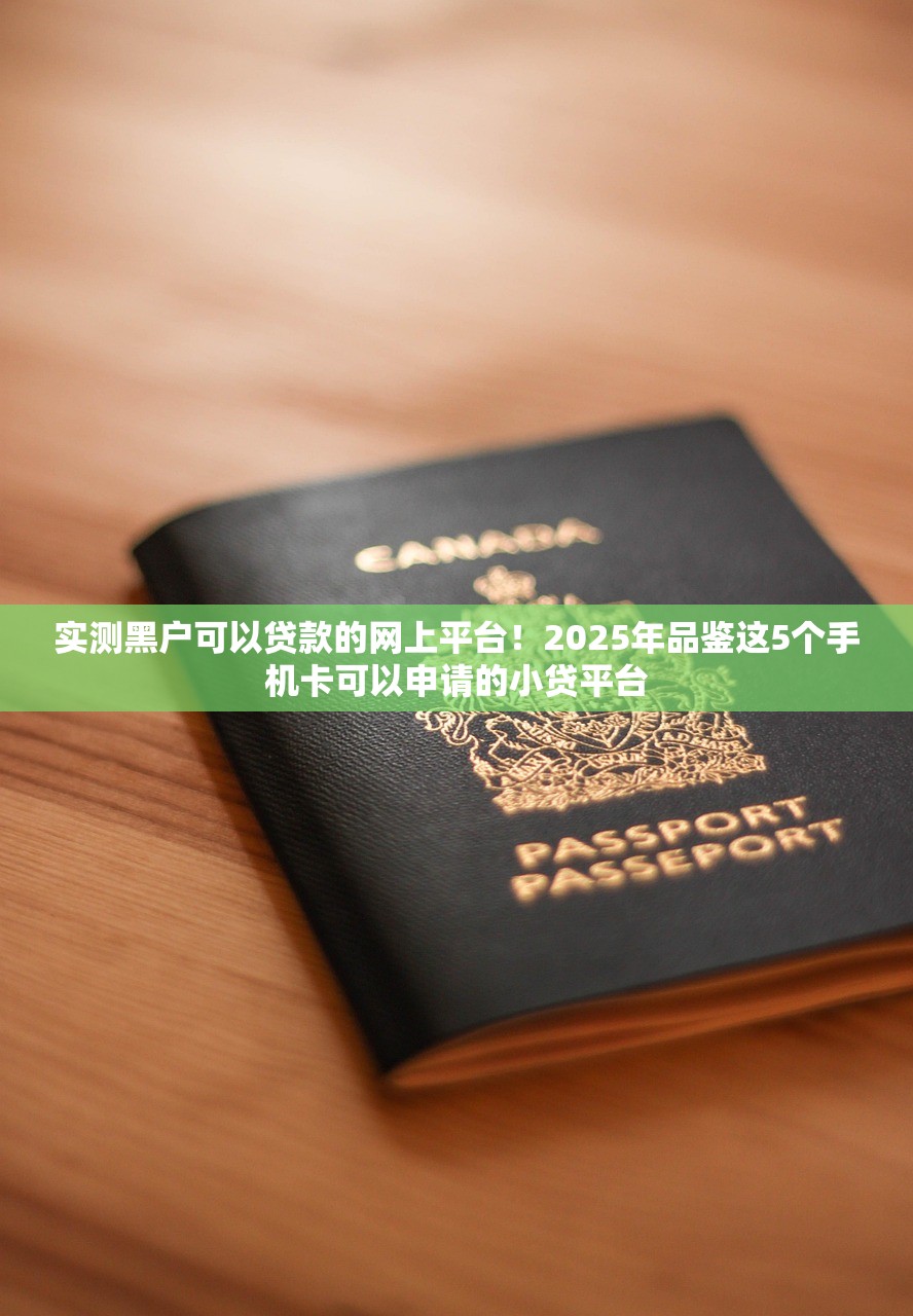 实测黑户可以贷款的网上平台！2025年品鉴这5个手机卡可以申请的小贷平台