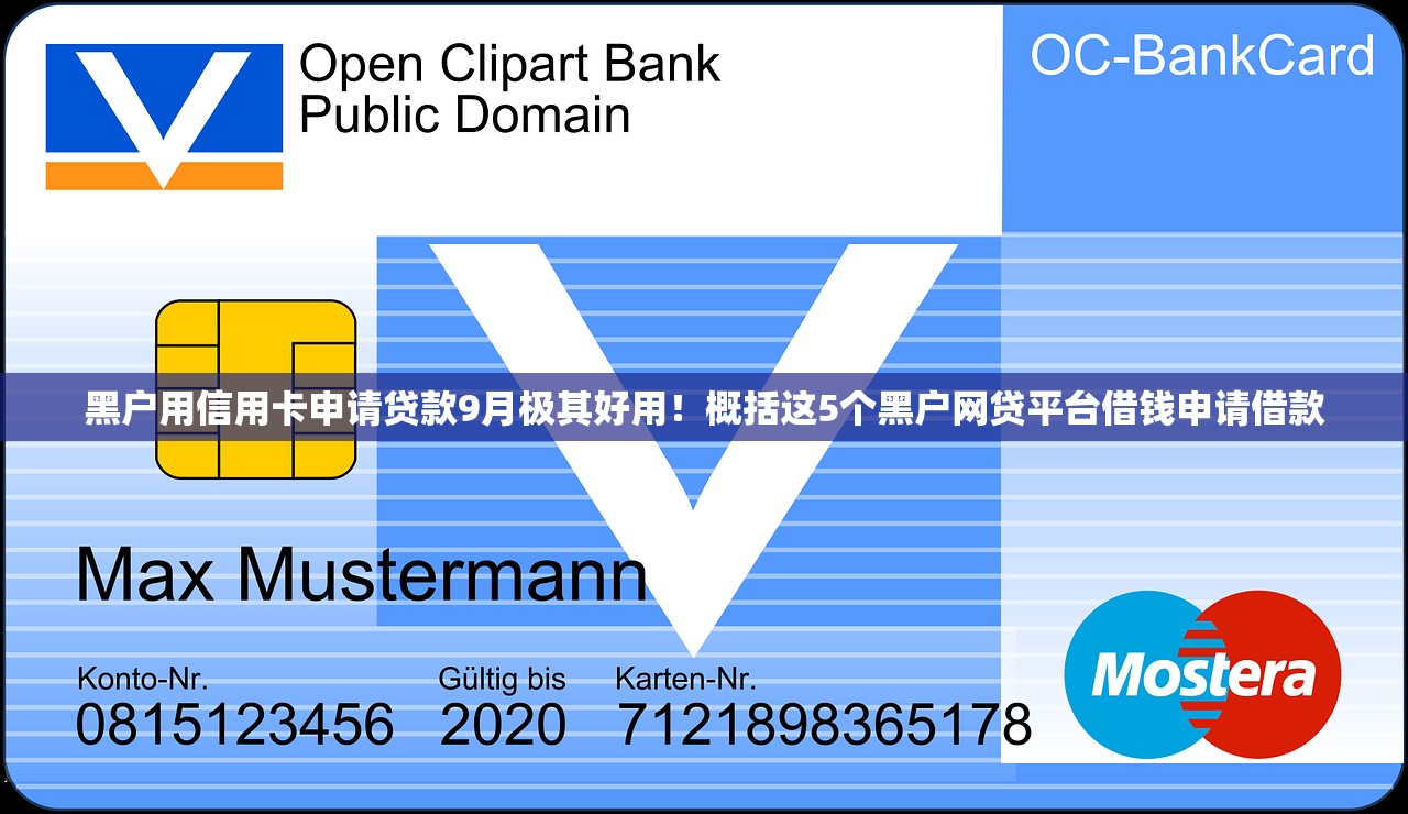 黑户用信用卡申请贷款9月极其好用！概括这5个黑户网贷平台借钱申请借款