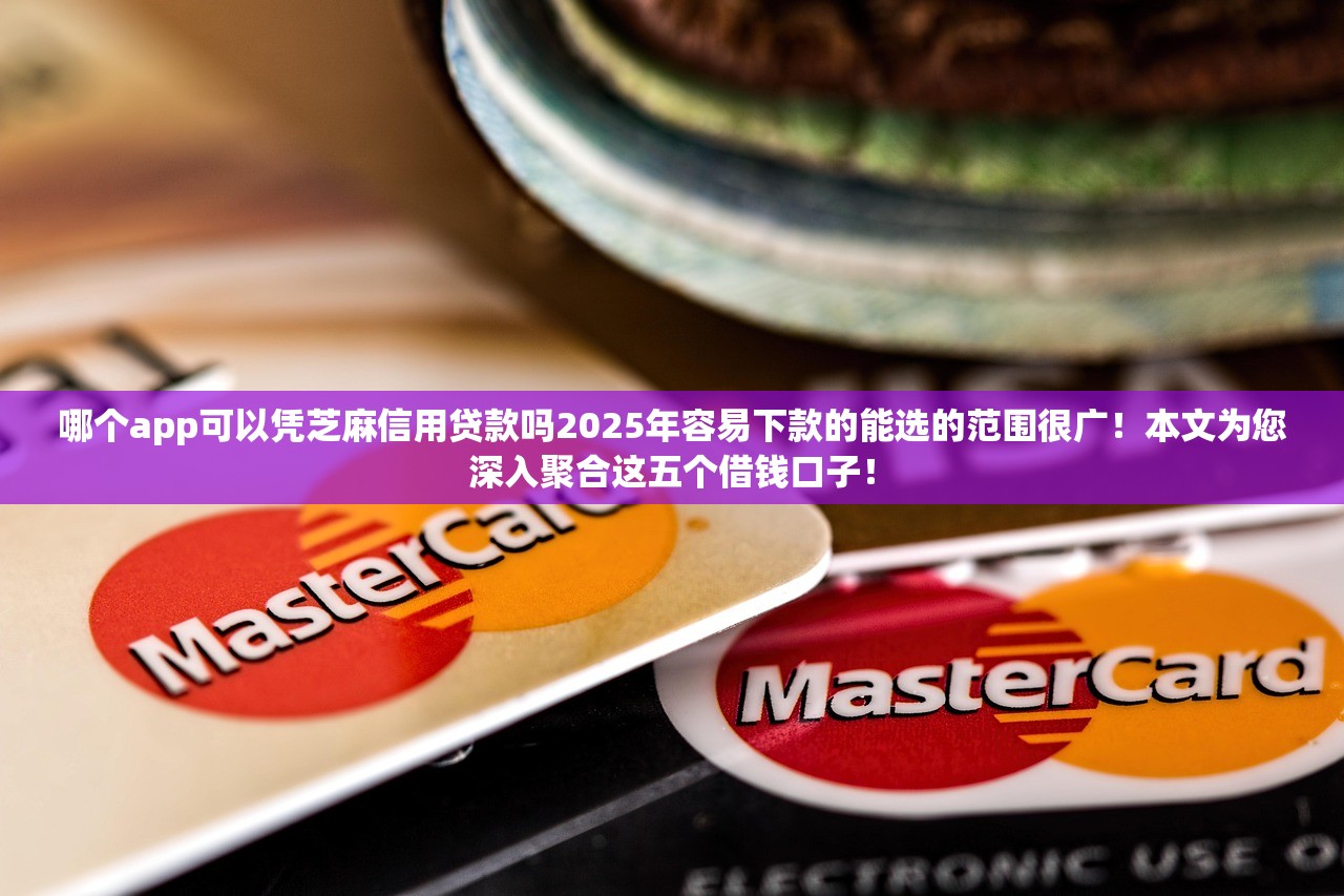 哪个app可以凭芝麻信用贷款吗2025年容易下款的能选的范围很广！本文为您深入聚合这五个借钱口子！