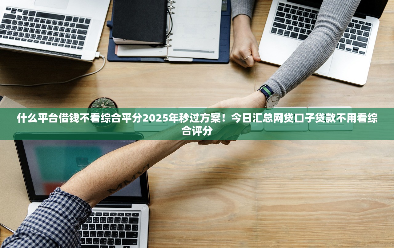 什么平台借钱不看综合平分2025年秒过方案！今日汇总网贷口子贷款不用看综合评分