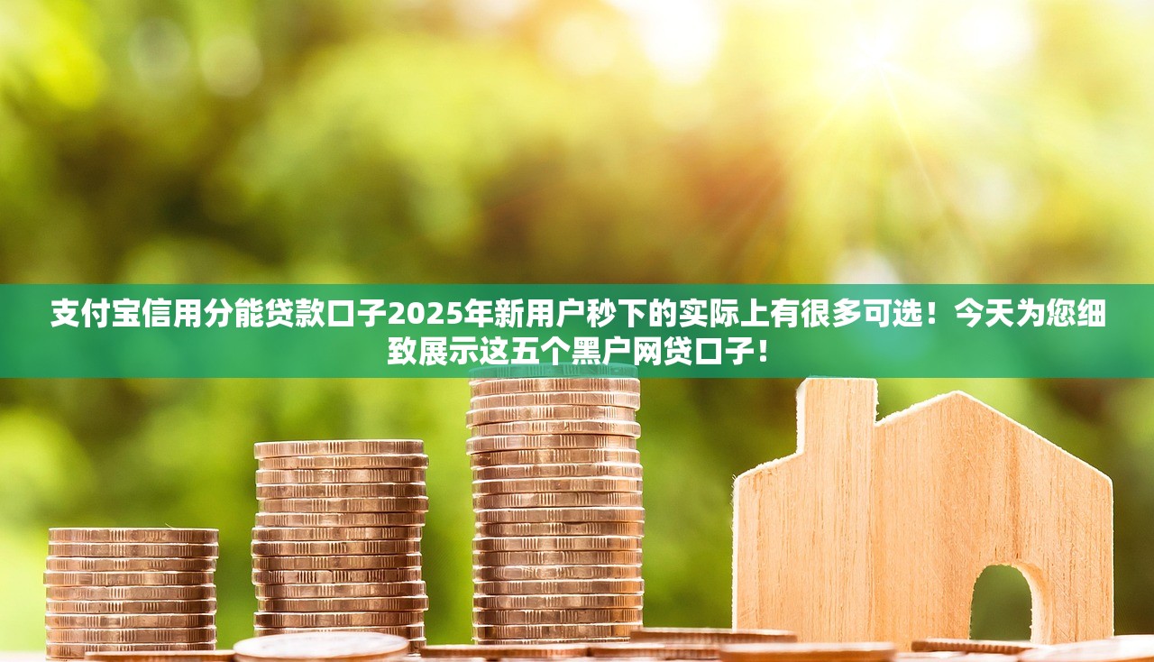 支付宝信用分能贷款口子2025年新用户秒下的实际上有很多可选！今天为您细致展示这五个黑户网贷口子！