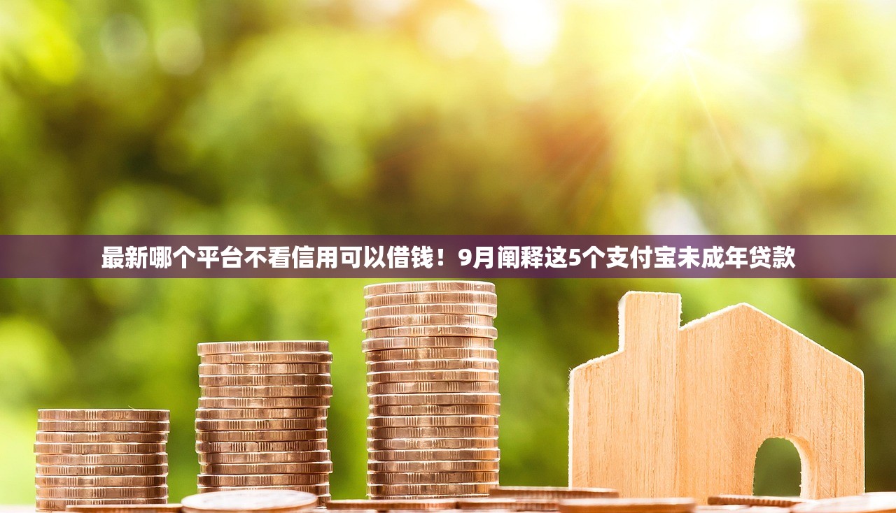 最新哪个平台不看信用可以借钱！9月阐释这5个支付宝未成年贷款