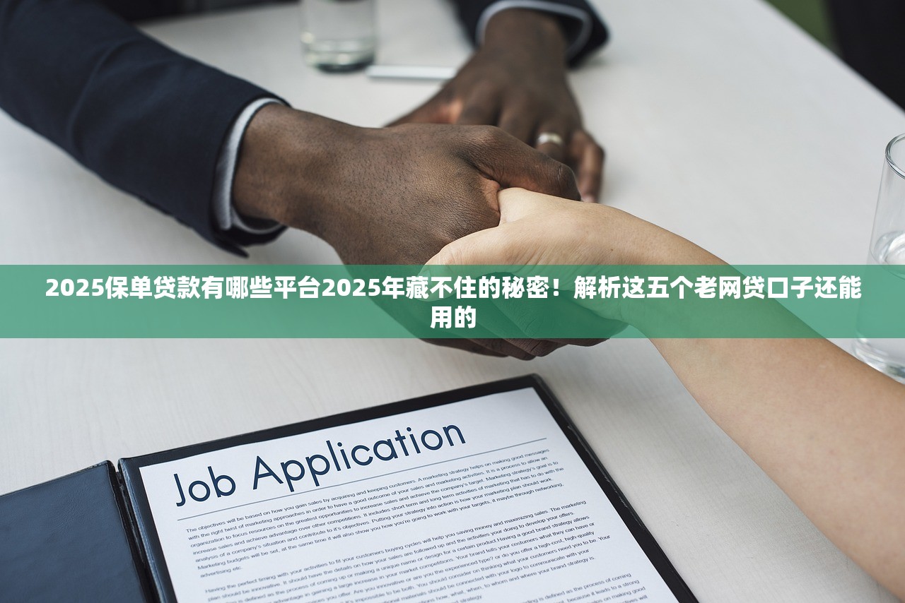 2025保单贷款有哪些平台2025年藏不住的秘密！解析这五个老网贷口子还能用的