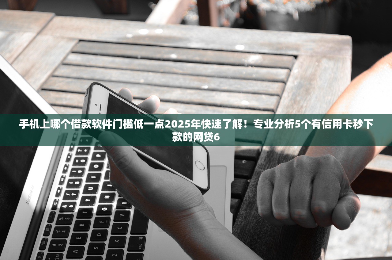 手机上哪个借款软件门槛低一点2025年快速了解！专业分析5个有信用卡秒下款的网贷6