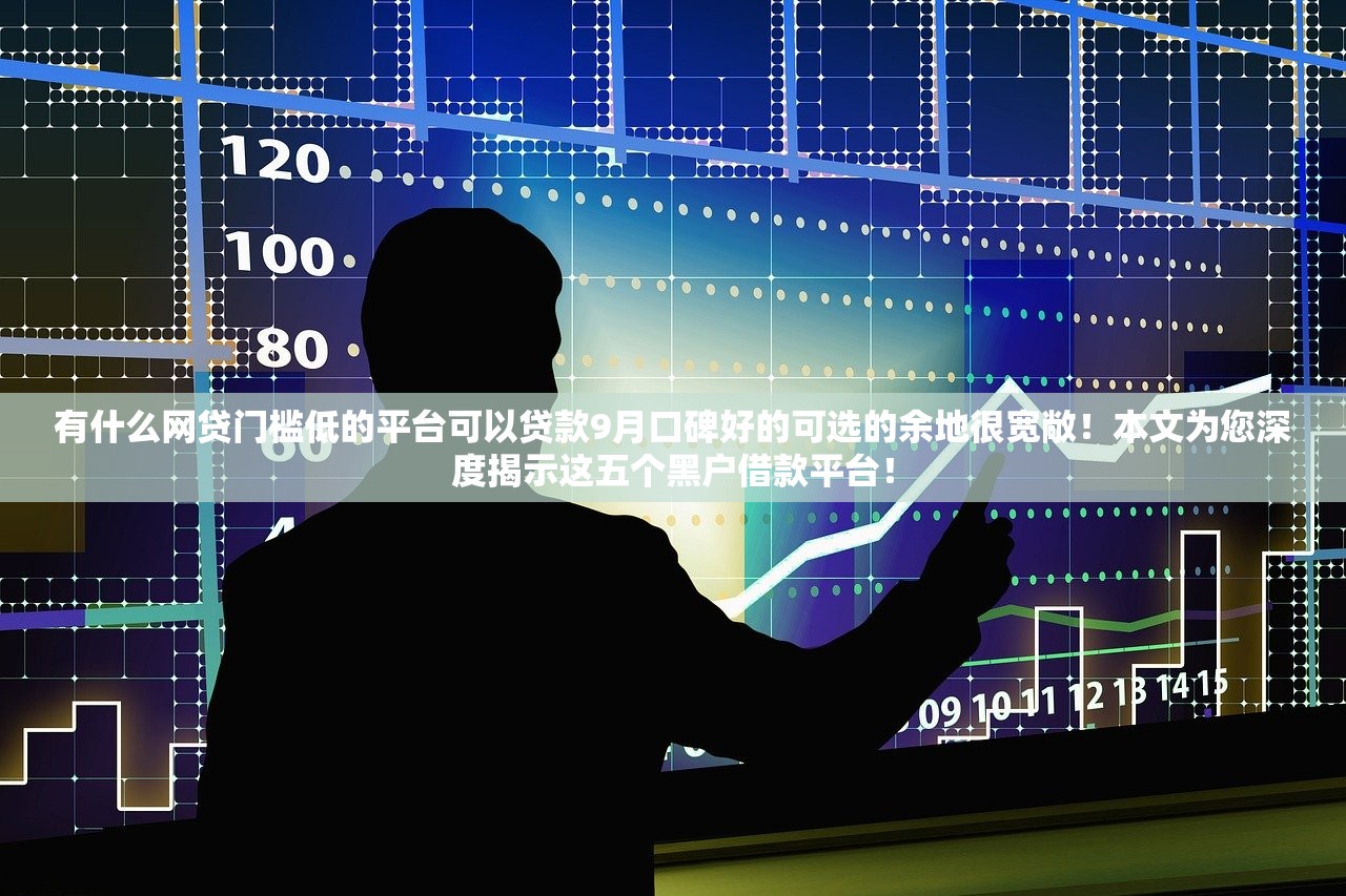 有什么网贷门槛低的平台可以贷款9月口碑好的可选的余地很宽敞！本文为您深度揭示这五个黑户借款平台！
