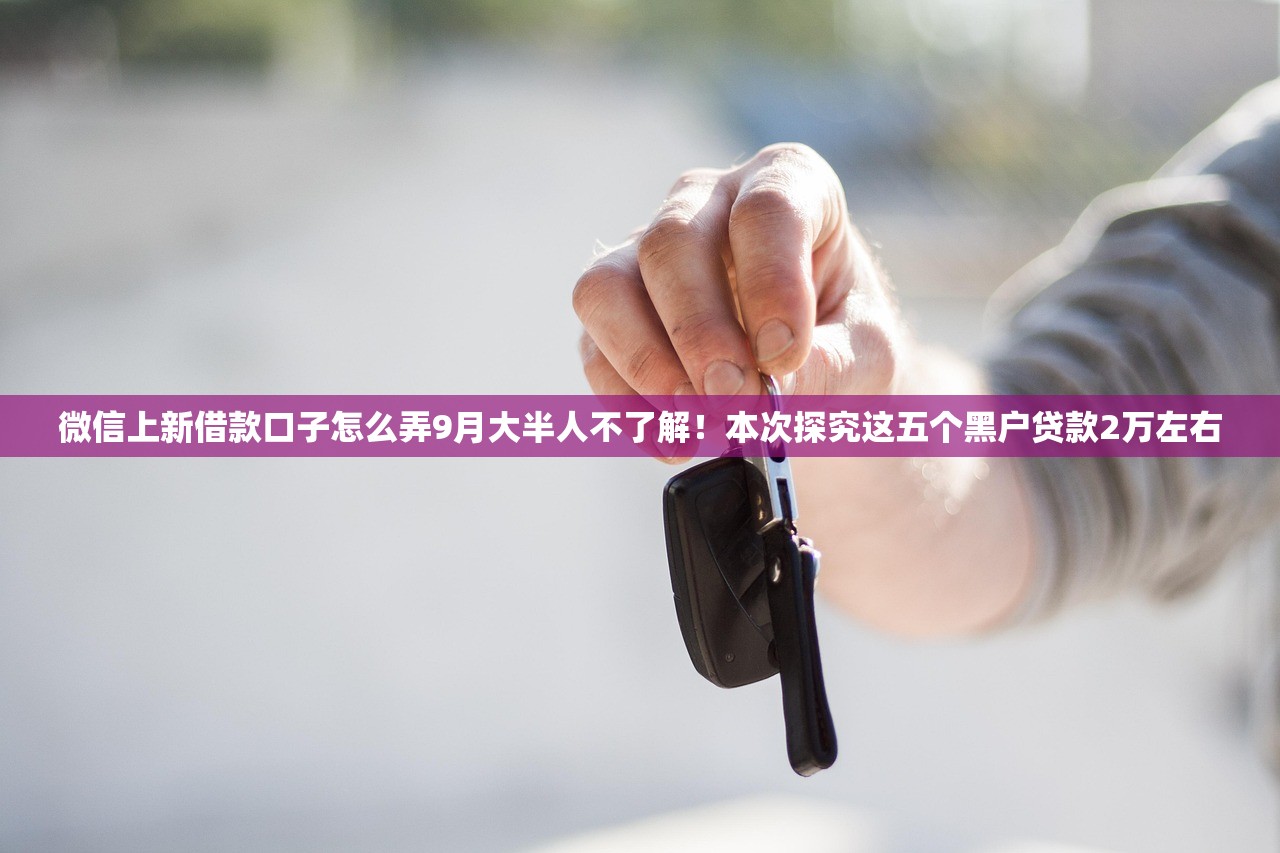 微信上新借款口子怎么弄9月大半人不了解！本次探究这五个黑户贷款2万左右